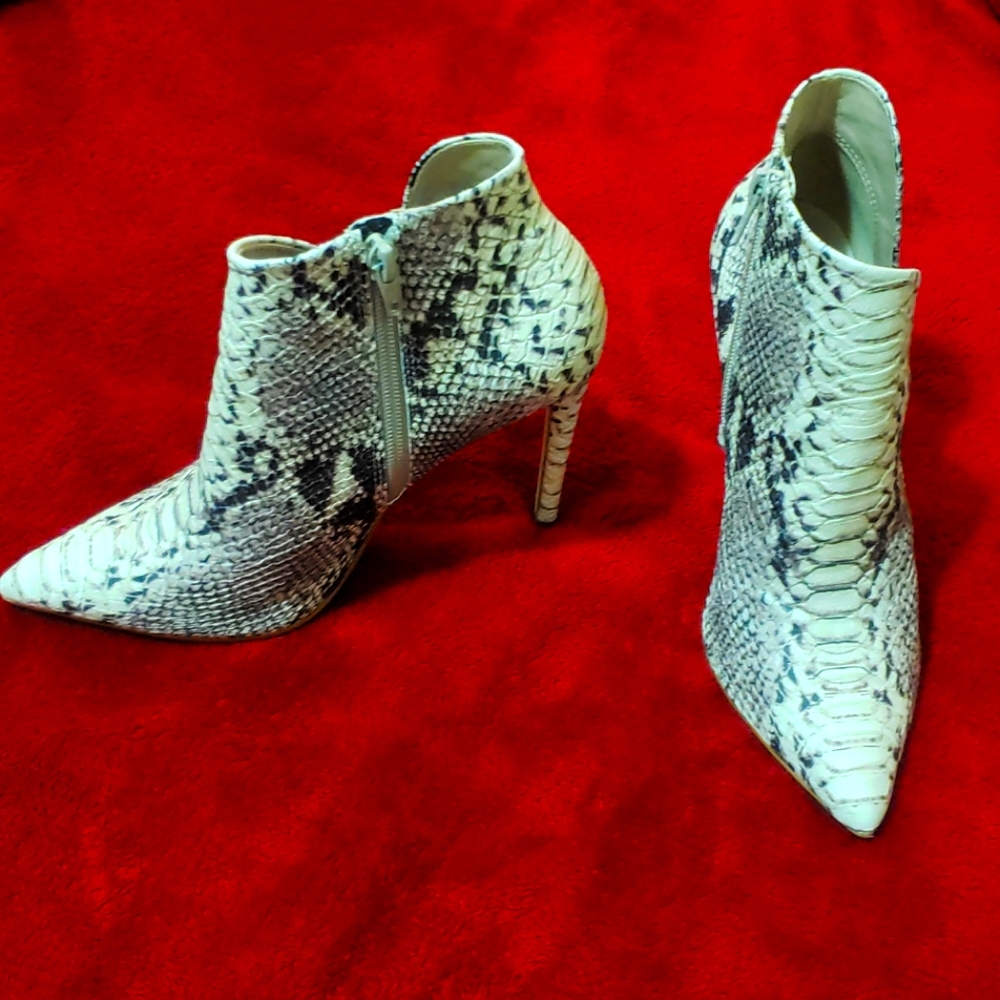 Steve madden